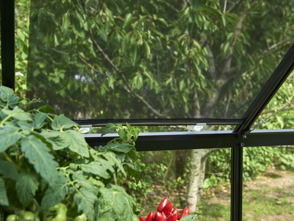 Rolscherm 67,5 x 200 cm, set a 2