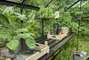 Kweektafel Birdlip 46, geintegreerd, zwart