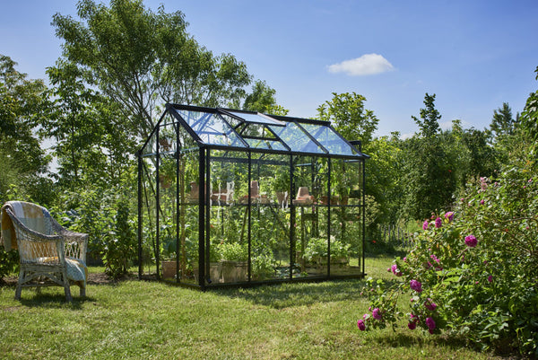 Tuinkas Birdlip 48 zwart 3 mm veiligheidsglas