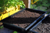 Seed tray 37,5 x 23 x 6 cm – set a 12