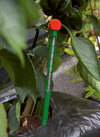 Grondthermometer