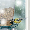 Bird feeding station with suction cup