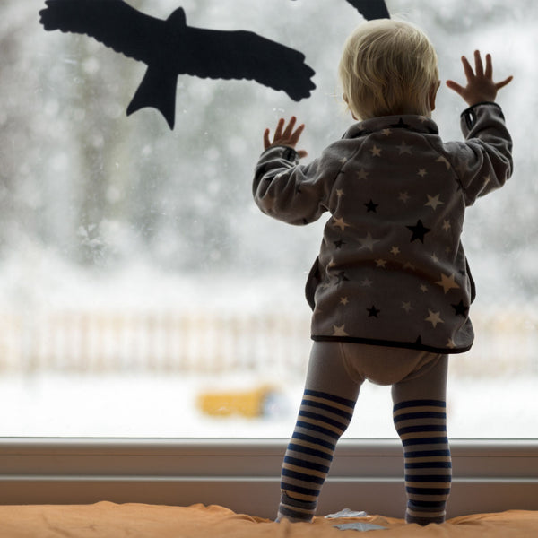 Window stickers bird 9 pieces in set