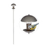 Bird feeder with pole