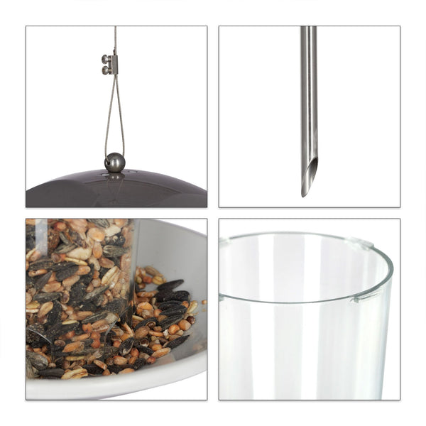Bird feeder with pole
