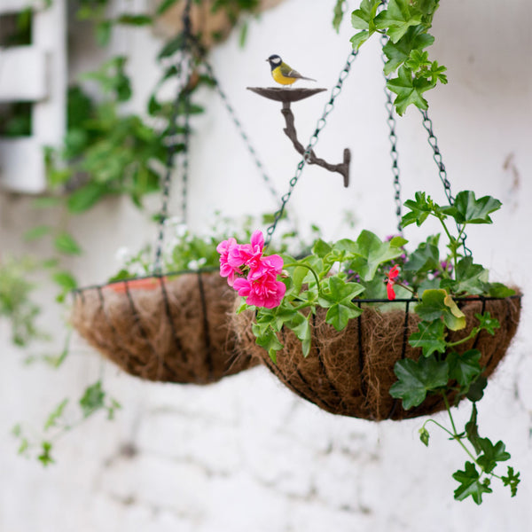 Bird bath cast iron