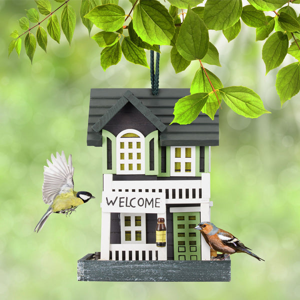 Hanging bird feeder