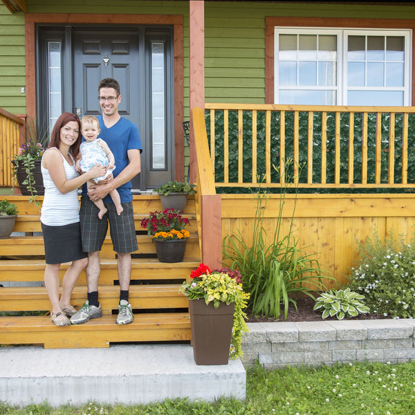 Klimop kunsthaag set van 12