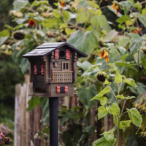 Multiholk Fjällstugan Vogelhaus/Futterstation