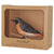 DecoBird - Redstart