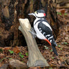 DecoBird - Great Spotted Woodpecker