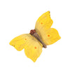 DecoButterfly - Lemon Butterfly