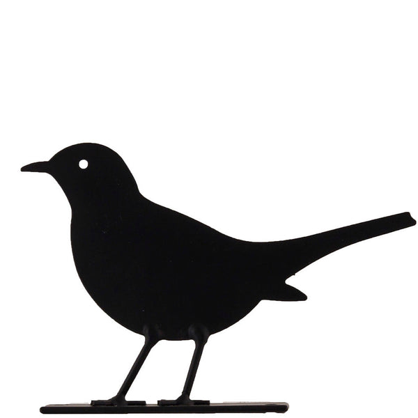 Silhouette - Blackbird