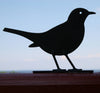 Silhouette - Blackbird