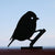 Silhouet - Pimpelmees