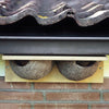 House martin nest double
