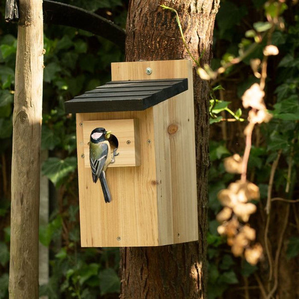 Bird Protection Nesting Box Kolding, Ø 32 mm