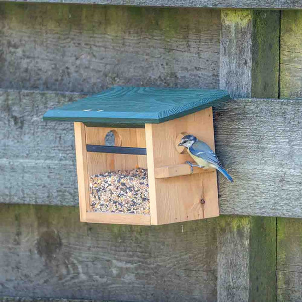 Mangeoire murale Tilburg – Mangeoire compacte pour petits oiseaux de jardin