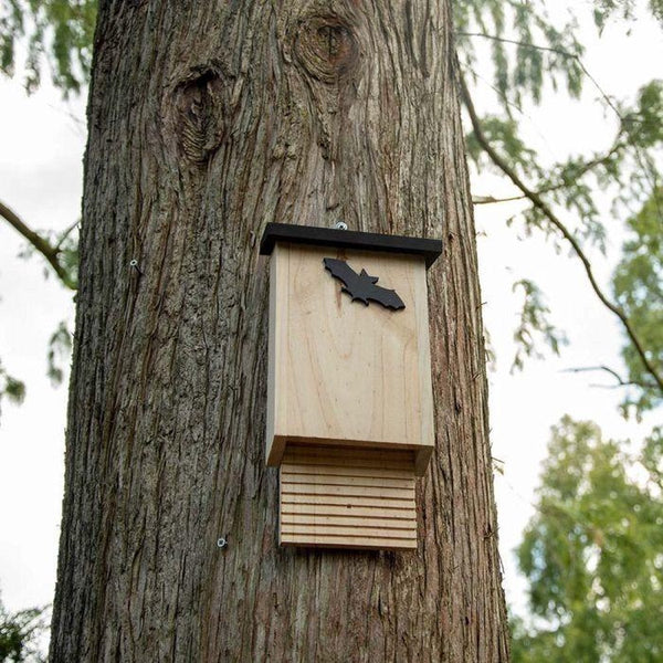 Fledermauskasten Glamis