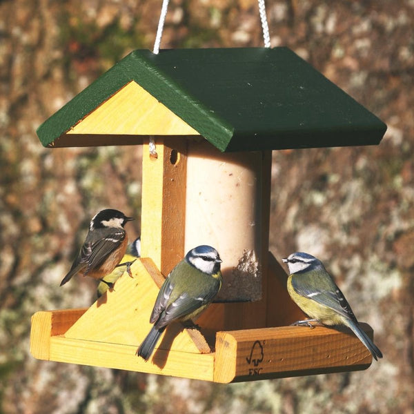 Birdhouse Peanut Cake Alpine