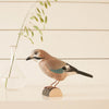 DecoBird - Flemish Jay