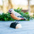 DecoBird - Waxwing