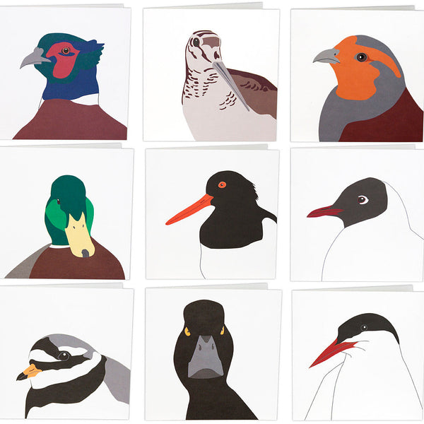 Vogelkaarten Set van 9 – Wenskaarten met Vogelmotief | Wildlife Garden