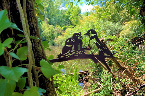 Birdwise - Spatzen mit Nachwuchs