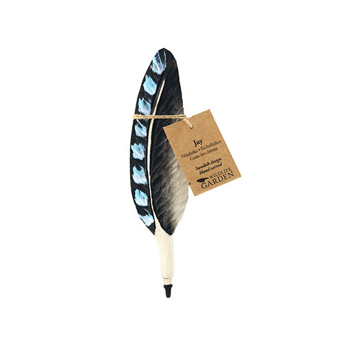 Pen Flemish Jay