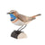 DecoBird - bluethroat