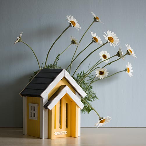 Fjärilsholk - butterfly house yellow