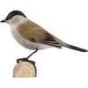 DecoBird - blackcap