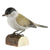 DecoBird - blackcap
