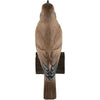DecoBird - song thrush