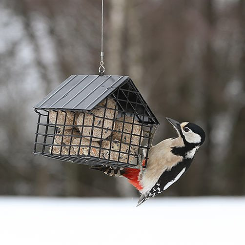 Wildlife Garden - Schwarzer Vogelfutterspender für Meisenknödel