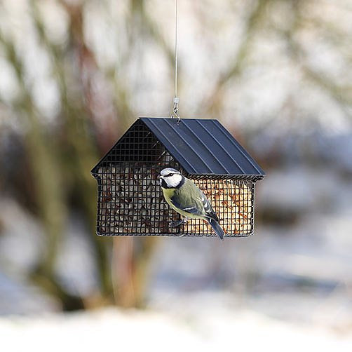 Wildlife Garden - Black Peanut Feeder