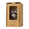 Wildlife Garden - Raccoon Clothes Hook