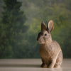 Houten Konijn Beeldje Tuindecoratie - Handgesneden DecoAnimal | Wildlife Garden