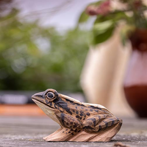 DecoBird - moor frog