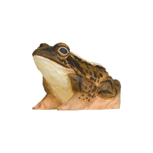 DecoBird - moor frog