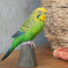 DecoBird - Budgerigar