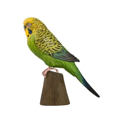 DecoBird - Budgerigar