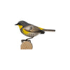 DecoBird Yellow-rumped Warbler