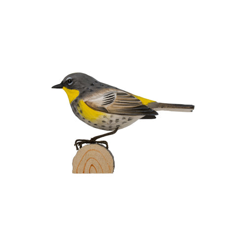 DecoBird Yellow-rumped Warbler