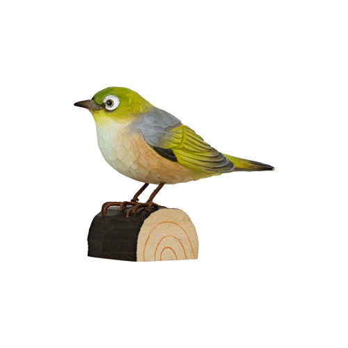 DecoBird Maori-Brillenvogel