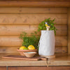 Kitchen roll holder blue tit