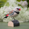 DecoBird Diamant à gouttes pointillées