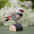 DecoBird Diamant à gouttes pointillées