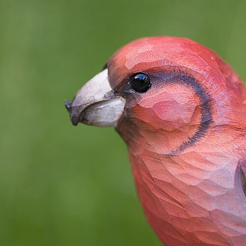 DecoBird Small Crossbill
