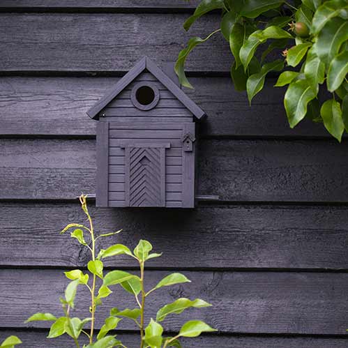 Nichoir 2-en-1 Multiholk Noir Charbon | Wildlife Garden